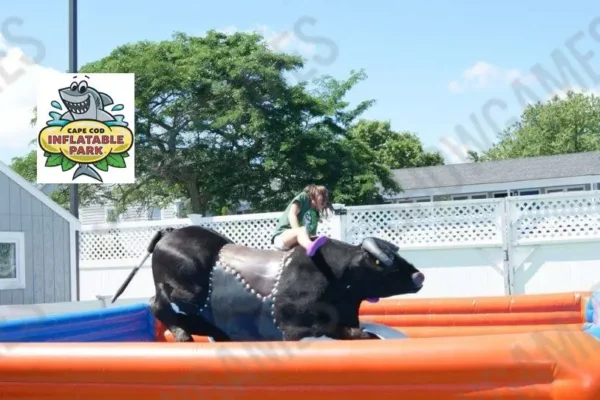 mechanical-bull-ride-boston-show-games-italy-and-usa